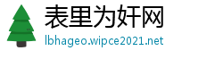表里为奸网